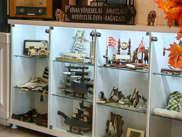 Imagen general del SiVAS LEON OTEL. Foto 5