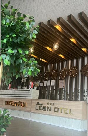 Imagen general del SiVAS LEON OTEL. Foto 10