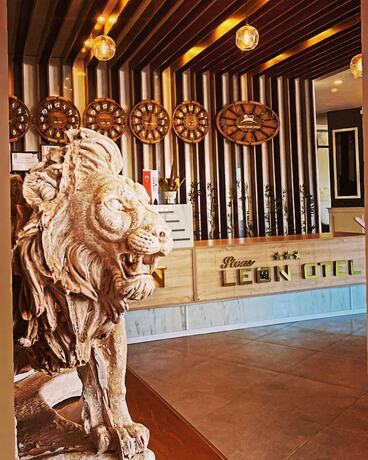 Imagen general del SiVAS LEON OTEL. Foto 14