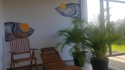 Imagen general del Siesta, Grzybowo. Foto 3