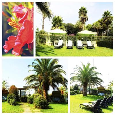 Imagen de los exteriores del Siesta, Lido Di Camaiore. Foto 5