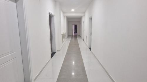 Imagen de la habitación del Silver Apartments, SKOPJE. Foto 8