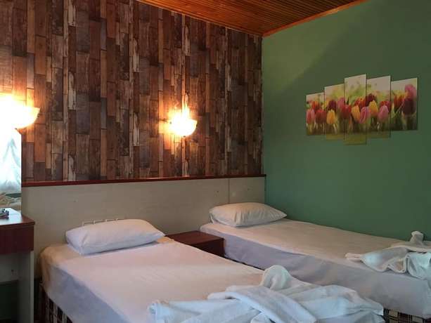 Imagen de la habitación del Silver Pine Hotel. Foto 3