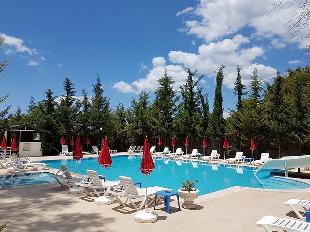 Imagen de la piscina del Silver Pine Hotel. Foto 15