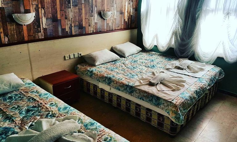 Imagen de la habitación del Silver Pine Hotel. Foto 8