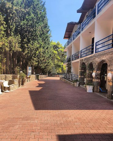 Imagen de los interiores del Silver Pine Hotel. Foto 14