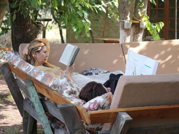 Imagen general del Simurg Evleri Olympos. Foto 6