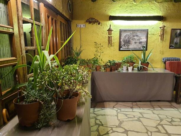 Imagen general del Simurg Evleri Olympos. Foto 14