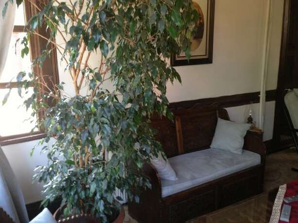 Imagen general del Sinan Bey Konagi - Special Class. Foto 7