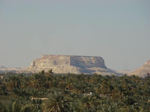 Imagen general del Siwa Paradise. Foto 10