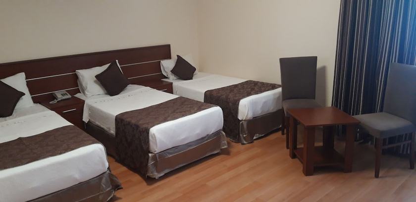 Imagen de la habitación del Siyav Hotel. Foto 3
