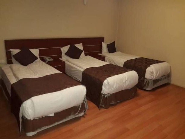 Imagen de la habitación del Siyav Hotel. Foto 13