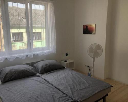 Imagen de la habitación del Skodova 4 Apartments. Foto 16