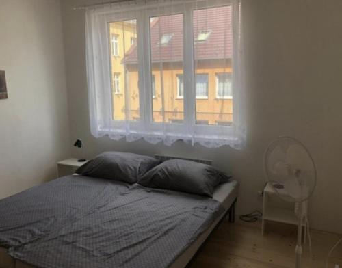 Imagen de la habitación del Skodova 4 Apartments. Foto 17