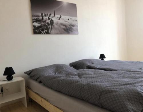 Imagen general del Skodova 4 Apartments. Foto 3