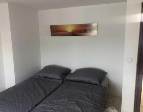 Imagen de la habitación del Skodova 4 Apartments. Foto 18