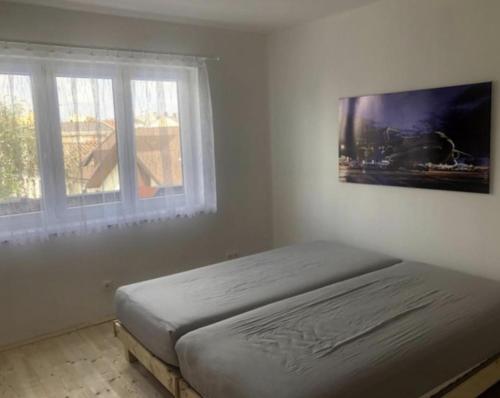 Imagen general del Skodova 4 Apartments. Foto 5