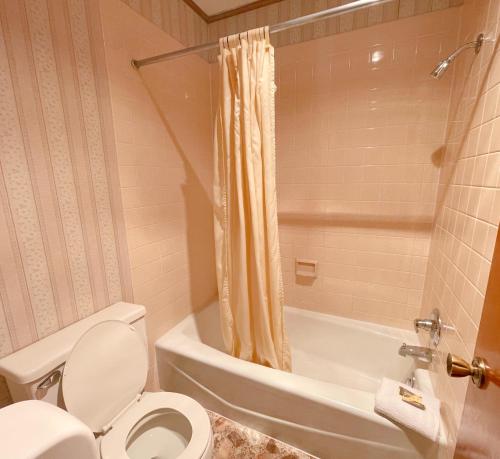 Imagen general del Smoky Mountain Motor Lodge At Dollywood LN. Foto 1