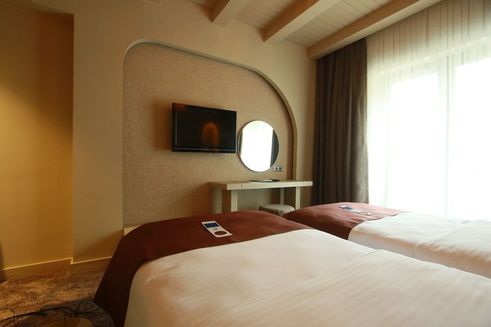 Imagen de la habitación del Snowdora Hotel. Foto 7