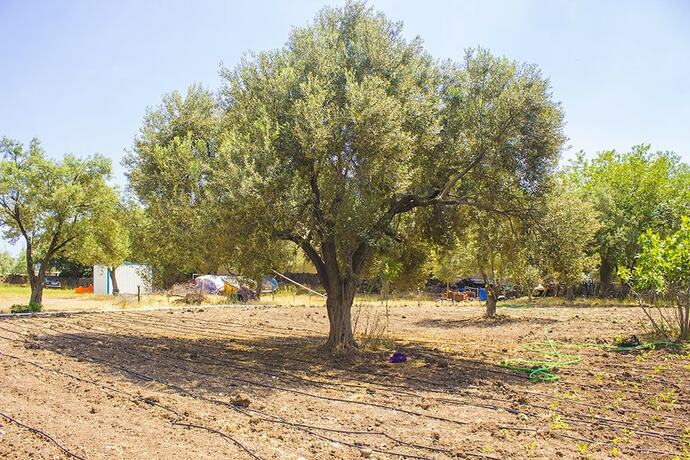 Imagen general del Sokakagzi Motel. Foto 7