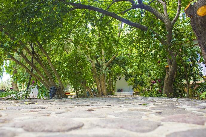 Imagen general del Sokakagzi Motel. Foto 15