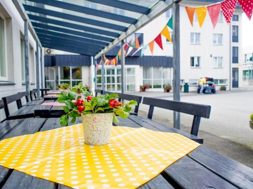 Imagen general del Solborg Folkeh&oslash;gskole Hostel. Foto 4