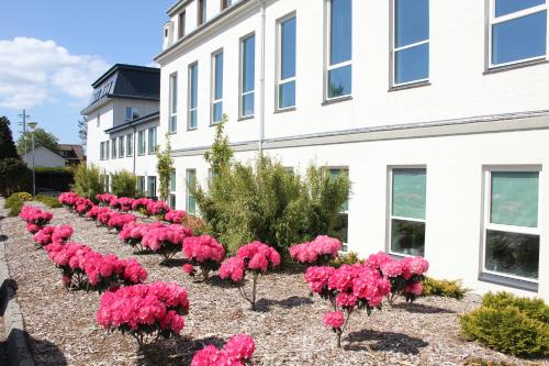 Imagen general del Solborg Folkeh&oslash;gskole Hostel. Foto 12