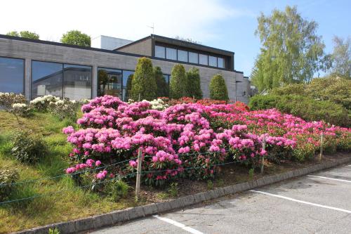 Imagen general del Solborg Folkeh&oslash;gskole Hostel. Foto 15
