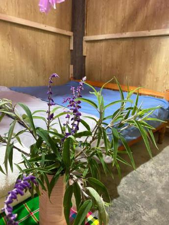 Imagen general del Son Thoi Homestay. Foto 15