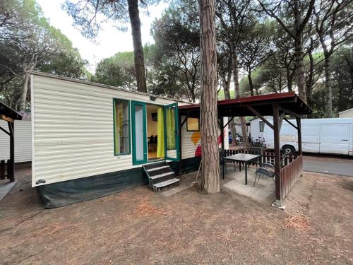 Imagen general del Sona Mobilhome. Foto 3