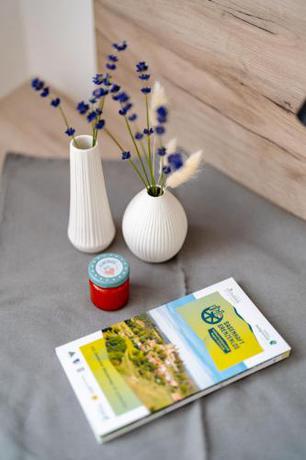 Imagen general del Sonnenschein Apartments. Foto 9