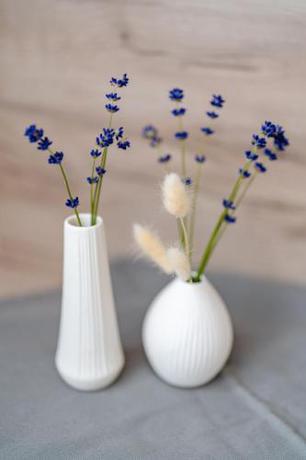 Imagen de la habitación del Sonnenschein Apartments. Foto 18