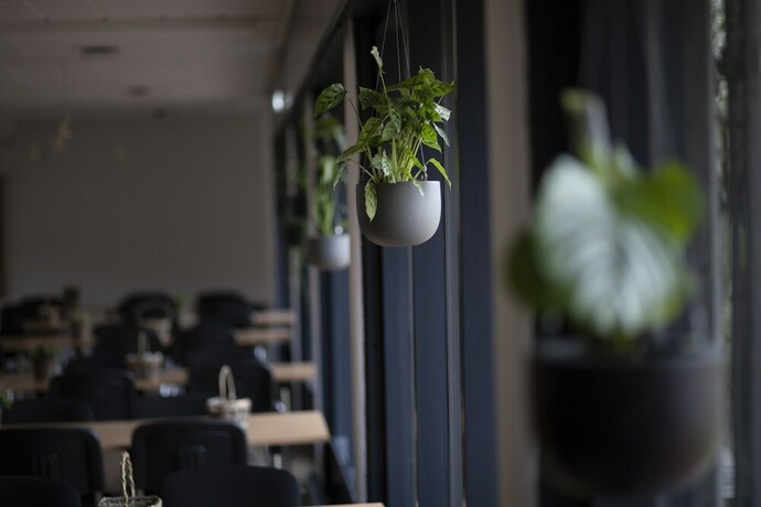 Imagen general del S&oslash;nderborg City Hostel. Foto 4