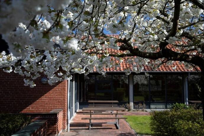 Imagen general del S&oslash;nderborg City Hostel. Foto 5
