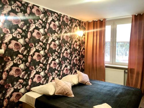 Imagen de la habitación del Sosnowe Zacisze. Foto 6