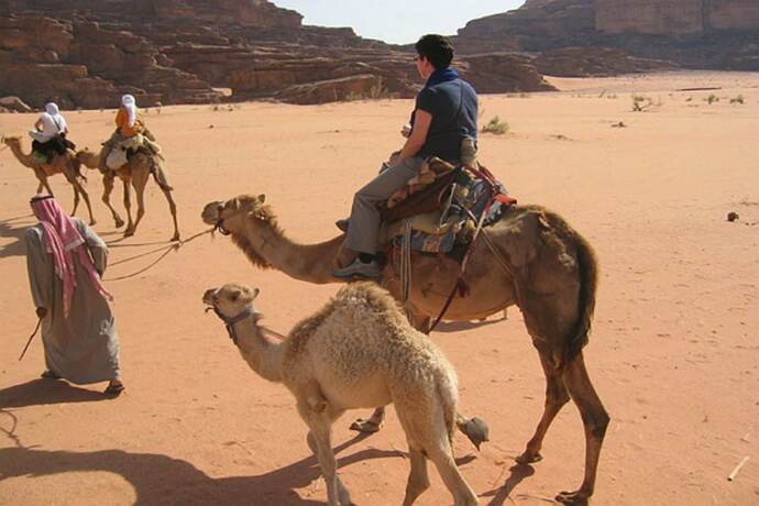 Imagen general del Space Village Luxury Camp. Foto 2