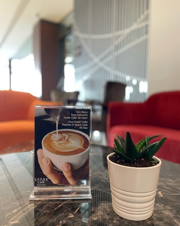 Imagen de los interiores del Spark Hotel Residence Konya, Sel&ccedil;uklu. Foto 17