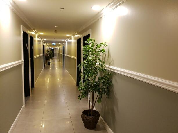 Imagen general del Spat Ashdod. Foto 3