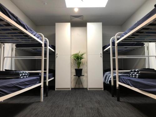 Imagen de la habitación del Spinners Hostel. Foto 5