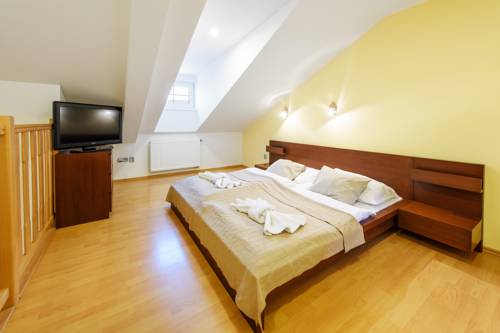Imagen de la habitación del Sport Hotel, Doln&iacute; Morava. Foto 10