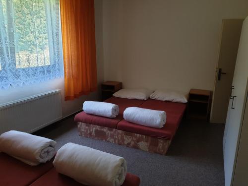 Imagen general del Sporthotel Můstek. Foto 2