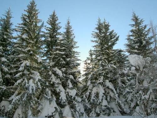 Imagen de la habitación del Sporthotel Oberwald. Foto 7