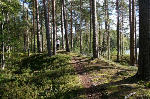 Imagen general del Sporttihotelli Pihkala. Foto 8