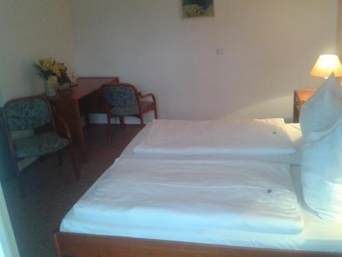 Imagen general del Spreewaldhotel Leipe. Foto 7