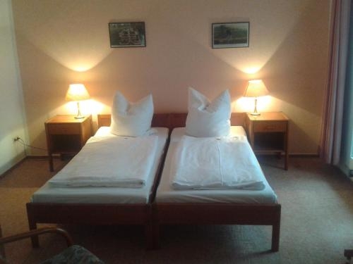 Imagen general del Spreewaldhotel Leipe. Foto 8