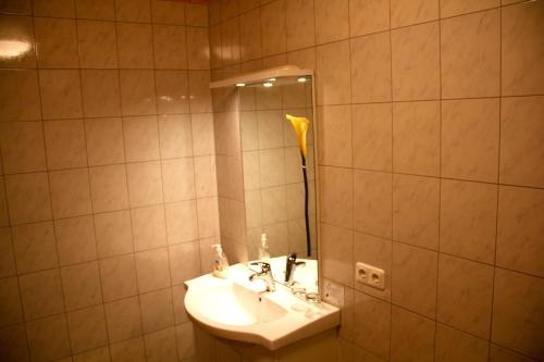 Imagen de la habitación del Spreewaldhotel Seerose. Foto 6