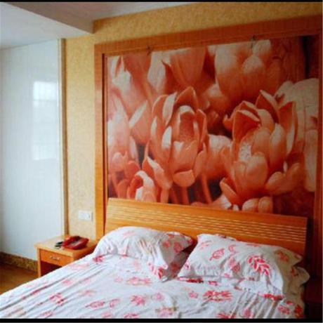 Imagen general del Spring Apartment. Foto 3