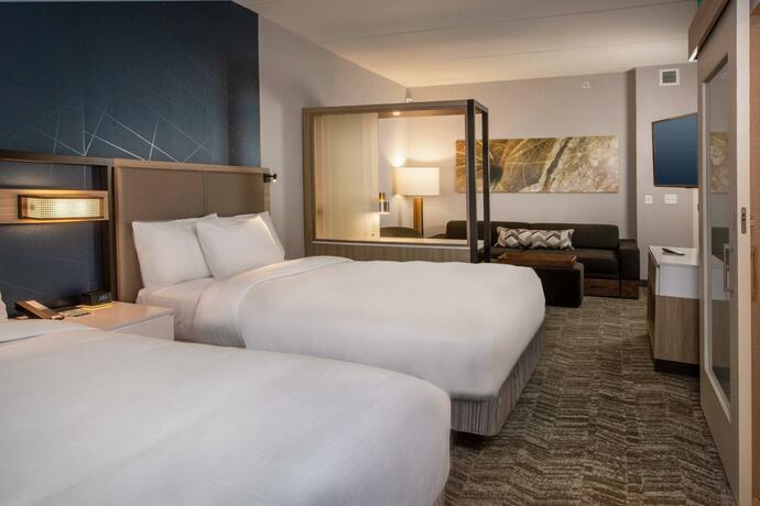Imagen general del SpringHill Suites By Marriott Frederick. Foto 12