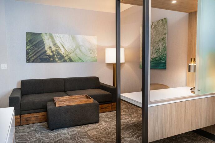 Imagen general del SpringHill Suites by Marriott Irvine Lake Forest. Foto 1