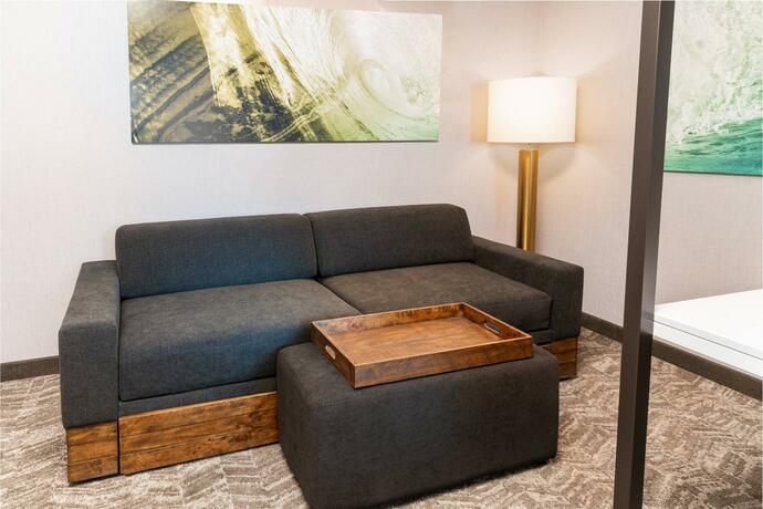 Imagen general del SpringHill Suites by Marriott Irvine Lake Forest. Foto 2